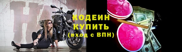 дурь Арсеньев