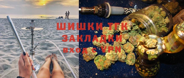 индика Аркадак
