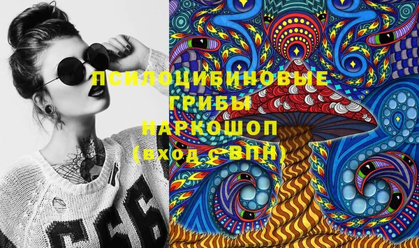 индика Аркадак